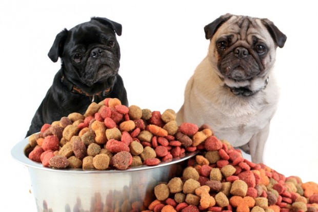 alimentos favoritos