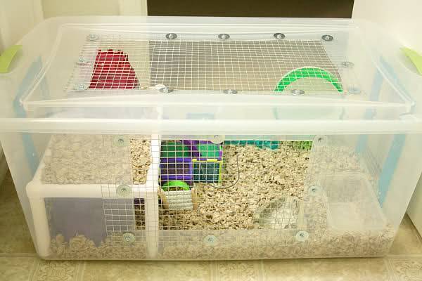 Como Fazer Uma Gaiola Para Hamsters